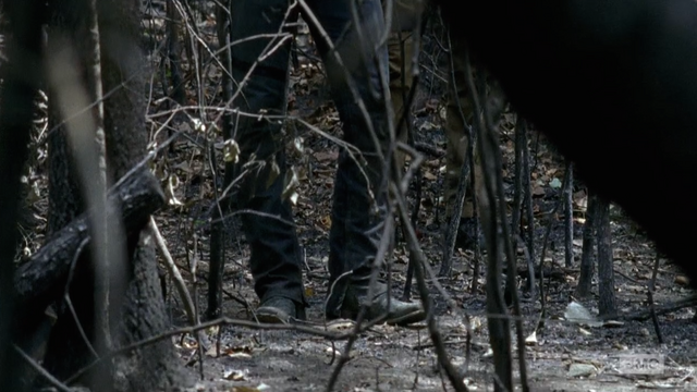 File:The-walking-dead-saviors.png
