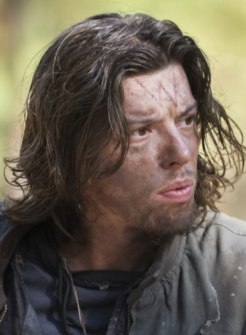 File:516 Wolf Woods.png