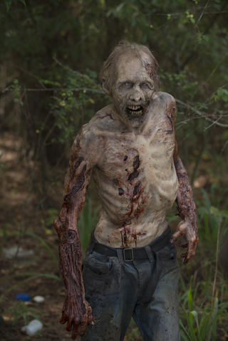 File:AMC 512 Woods Walker.png