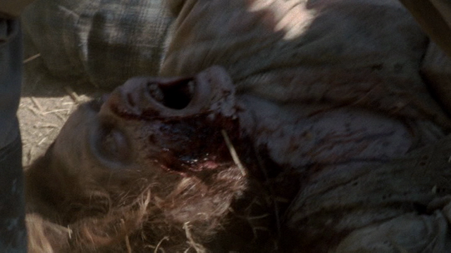 File:Vlcsnap-2013-10-06-12h14m41s45.png
