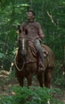 Wd-horse-nelly.png