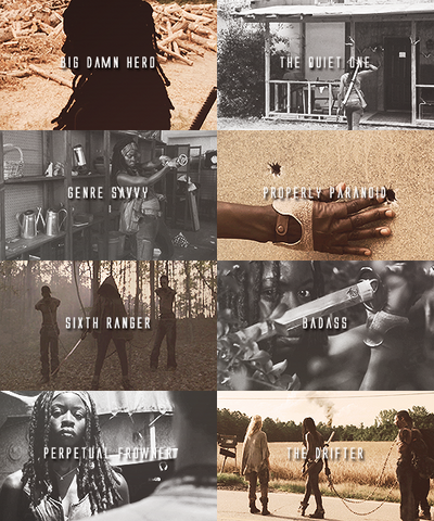 File:The-walking-dead-character-tropes-Michonne-the-walking-dead-32756368-500-600.png