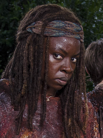 File:609 Michonne Camouflage.png