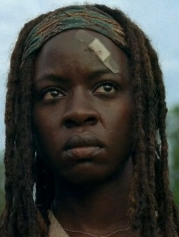 File:TFG Michonne.png