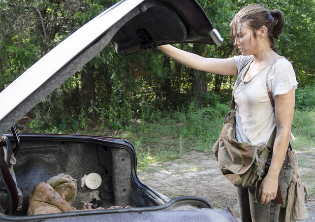 File:5x10 Maggie trunk walker.png