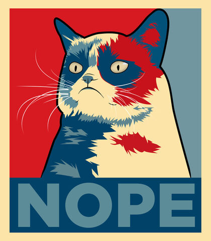 File:GrumpyNope.jpg