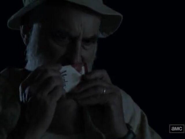 File:STLO TWD Images 043.jpeg