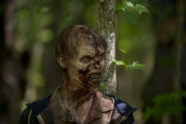 File:TWD 501 GP 0505 0061.jpg