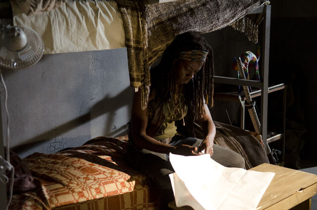 File:Michonne map.jpg