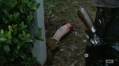 Ana-walking-dead-severed-leg-indifference zps3ac23757