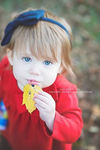 File:Look at those eyes.jpg