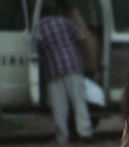File:Plaid shirt guy (Guts).png