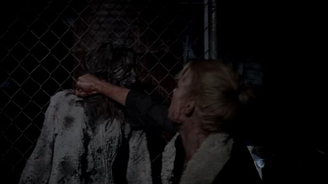 File:Twd314001957.jpg