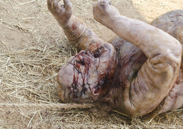 File:The-walking-dead-episode-4-well-walker.jpg