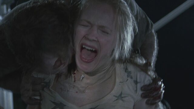 File:Twd104-002181.jpg