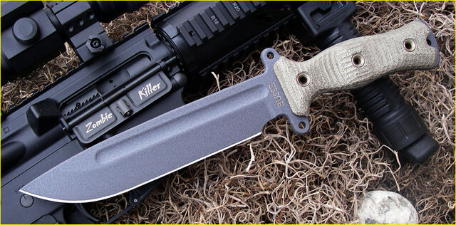 File:Busse1.jpg
