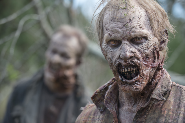 File:AMC 513 Field Walkers.png