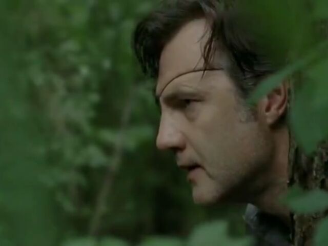 File:TG woods scavenge.jpg