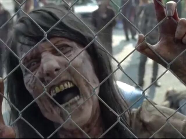 File:TWDBLR Images 026.jpeg