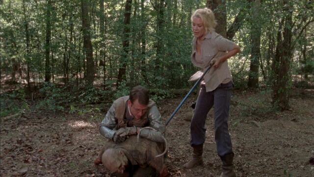 File:TWD 0871.jpg