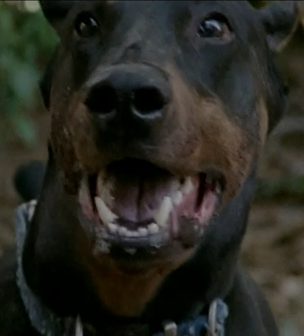 File:Season five duke.png