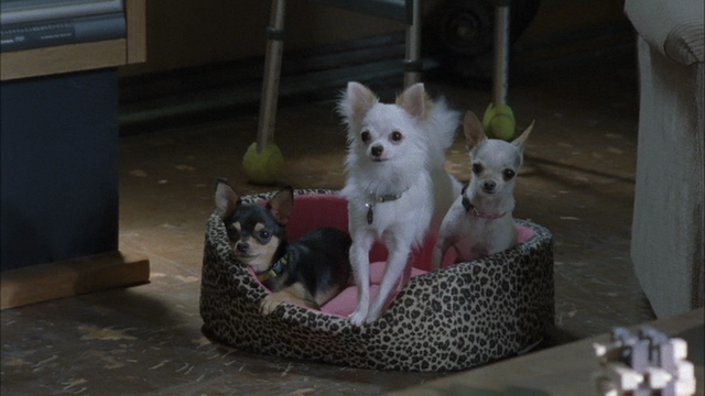 File:Vlcsnap-2013-09-14-15h48m55s211.png