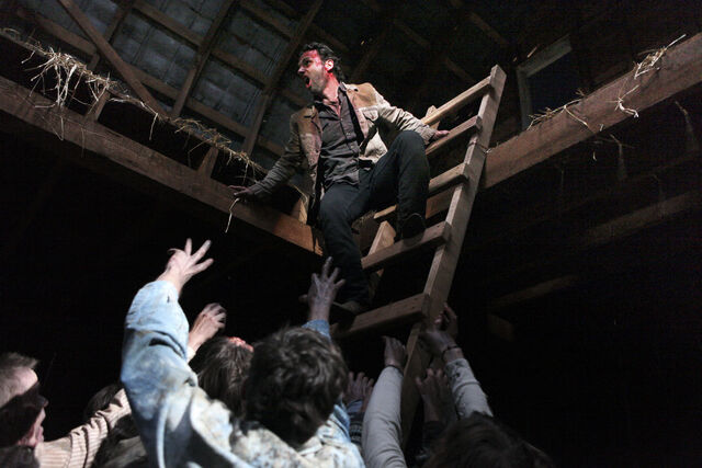 File:Episode-13-rick-ladder.jpg