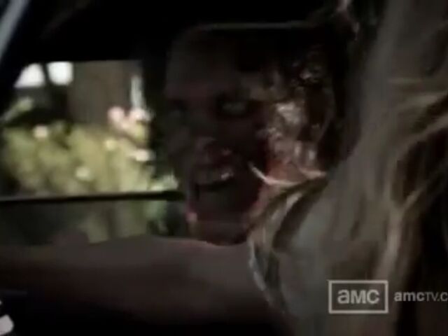 File:TWD Images 047.jpeg