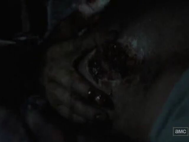 File:STLO TWD Images 085.jpeg
