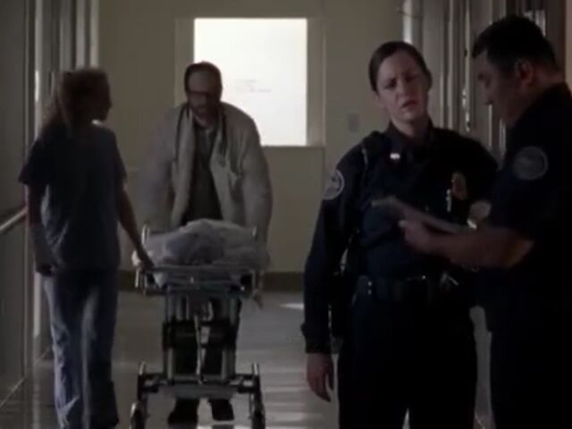 File:ST TWD Images 005.jpeg