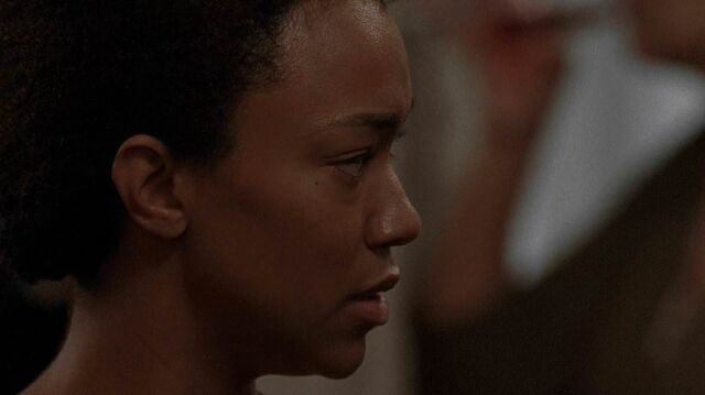 File:513 Sasha Distressed.jpg