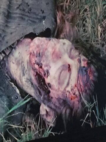 File:Governor kill.jpg