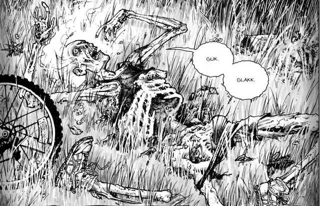 File:BicycleGirlComic.png