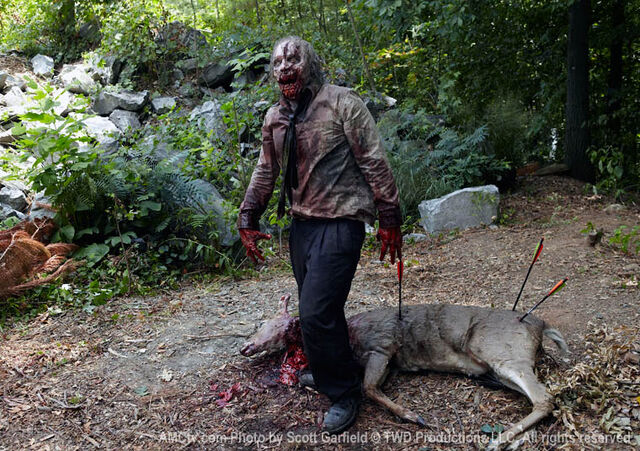 File:Walking-Dead-Zombie-Deer1.jpg