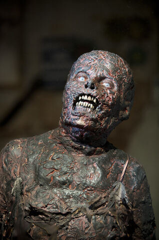 File:Walking-Dead-312-06.jpg