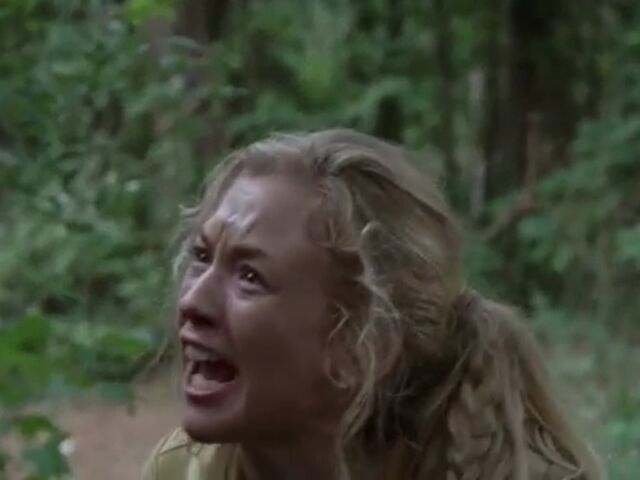 File:TWD BLR Images 003.jpeg