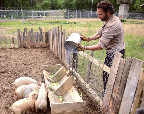 File:RickandPigs.png