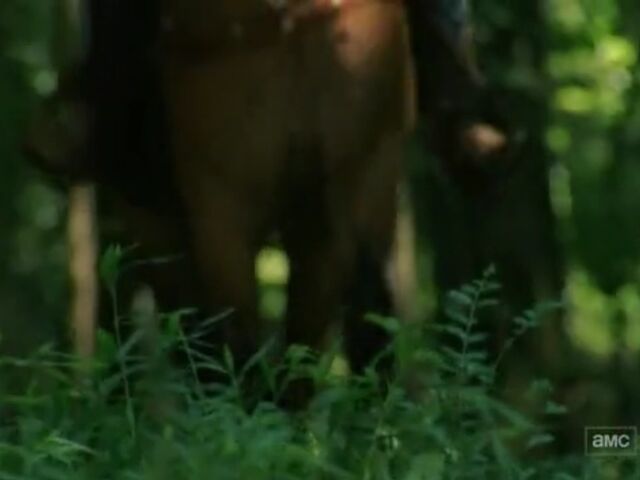 File:BL TWD Images 048.jpeg