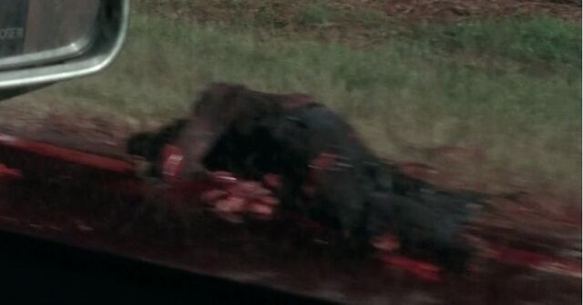 File:Hitchhikerdead.jpg