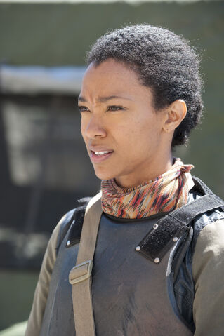 File:SashaS4B.jpg