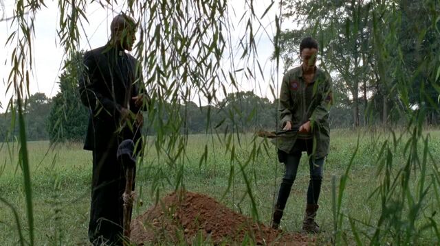 File:Twd0509-3002.jpg