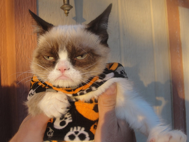 File:PopsHalloween.png