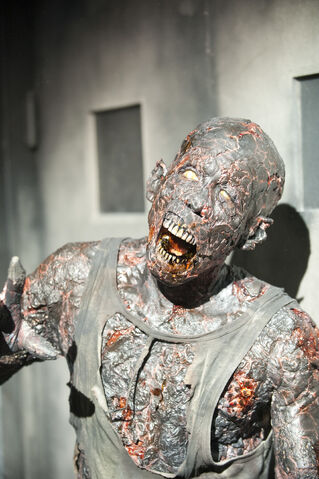 File:Walking-Dead-312-08.jpg