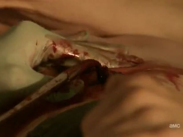 File:BL TWD Images 031.jpeg