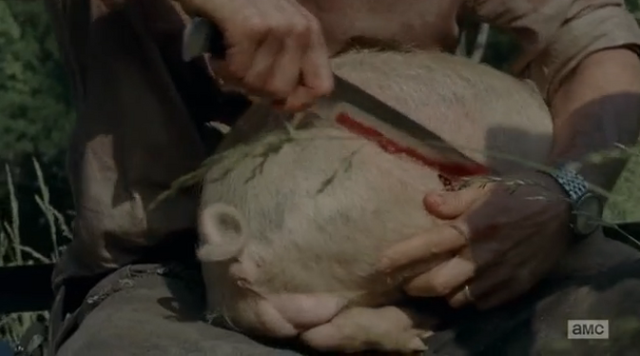 File:Pig 3 (2).png