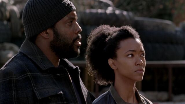 File:Twd316-000755.jpg