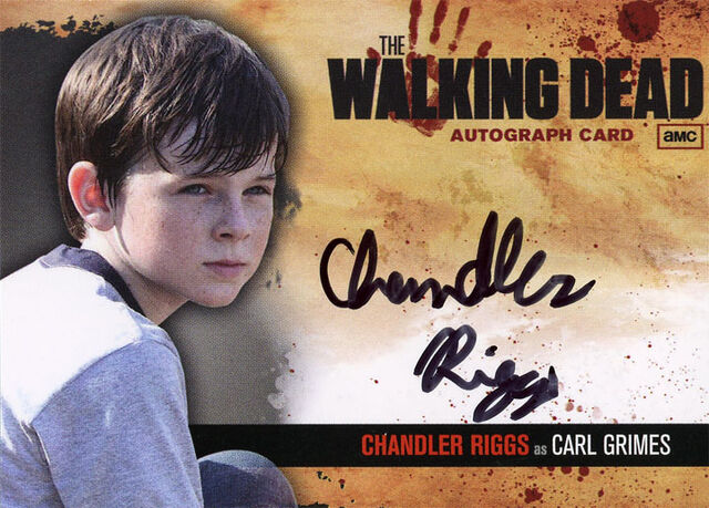 File:13 twd auto chandler2.jpg