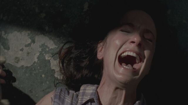 File:Twd304-002820.jpg
