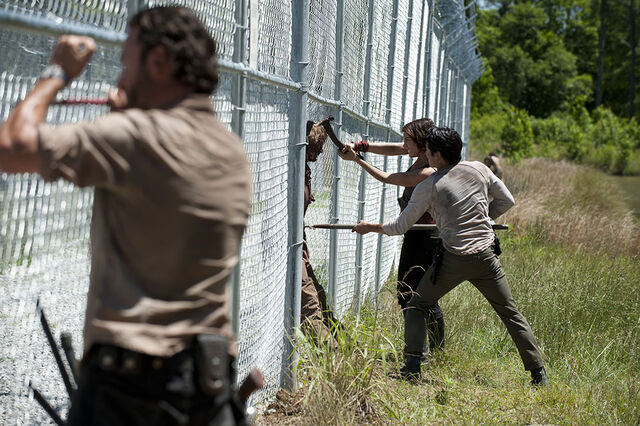 File:The-walking-dead-rick-glenn-maggie.jpg
