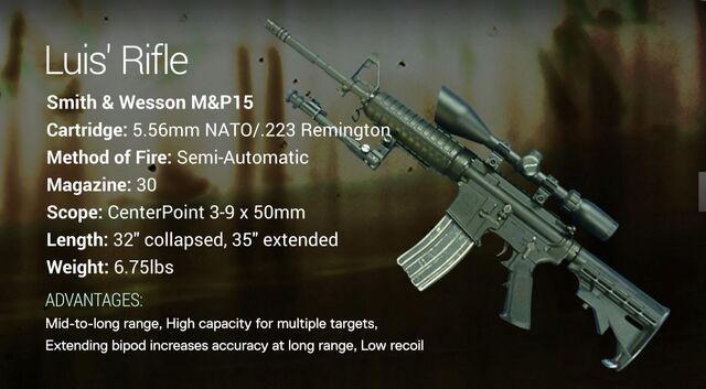 File:Luis' Rifle.jpg